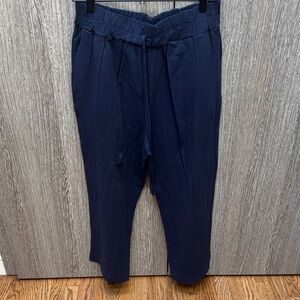 Vision Navy Pants